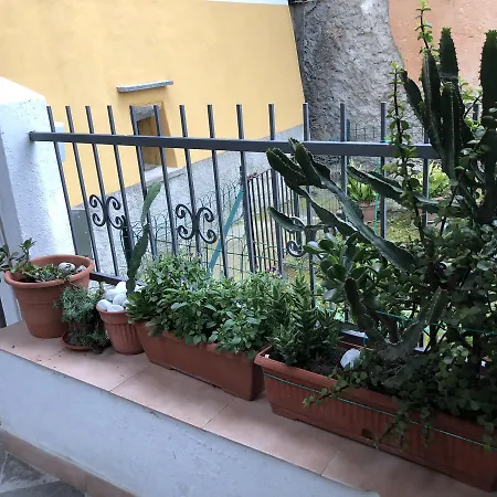 Casa Narciso